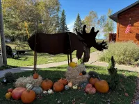 Rustic Moose Lakefront Guest Cabin on the Shore of Lake Superior - Feriehus