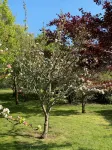 Penmarc’h-Holiday Cottage - Wifi