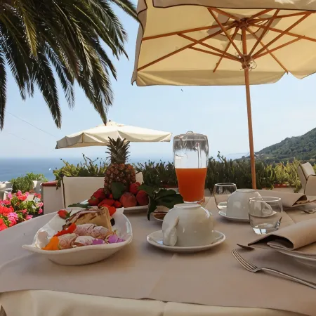 Hotel Gallo Nero
