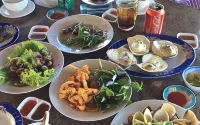 CocoPalm Villa Near Beach - Coco Room Hotels in Phuoc Hoi