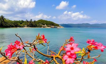 a serene beach scene with pink flowers blooming on the shore , creating a picturesque view at Whale Island Resort