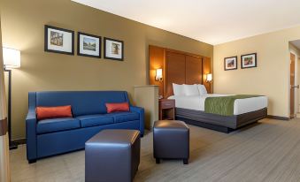 Comfort Inn & Suites Orangeburg