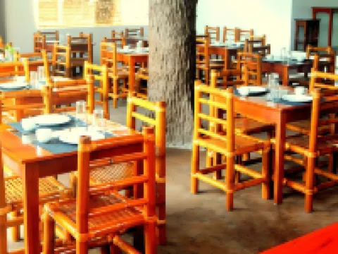 Oasis Resort and Spa