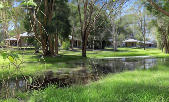 Habitat Noosa