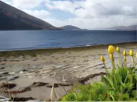 The Lodge on the Loch Onich Hotels in Fort William