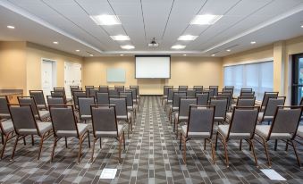 a large conference room with rows of chairs arranged in front of a projector screen at TownePlace Suites Detroit Belleville