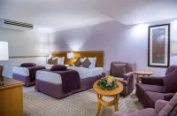 페트라 게스트하우스 호텔