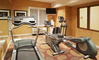 Holiday Inn Express & Suites Modesto-Salida