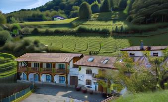Logis Hotel Erreguina