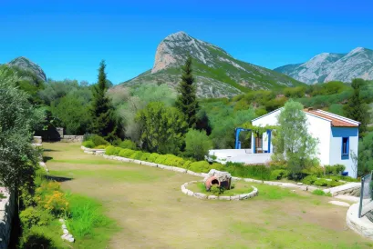 藝術橄欖達特恰酒店