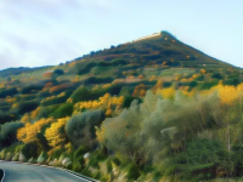 B&B Parini Hotels in Cassino