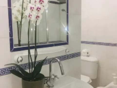 Deluxe la Palma 2 聖克魯斯-德拉帕爾馬酒店