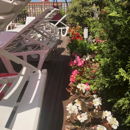 Sunrise Hotel Cameria