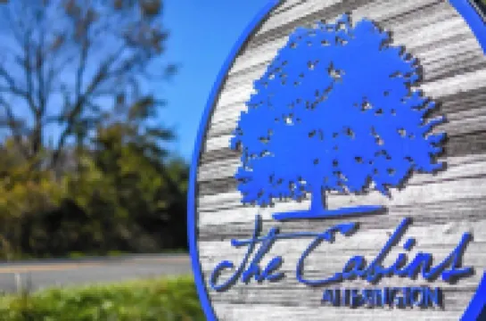 Cabin 80, Luxury 6 bedroom 3 bath Cabin minutes from Downtown Lexington!