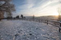 Le Refuge du Bois D'amour
