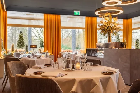 Landgoed Hotel & Restaurant Carelshaven Отели в г. Ambt Delden