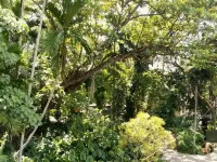 Green Turf Hotels in Gintota