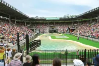 Glass House Mountains Ecolodge