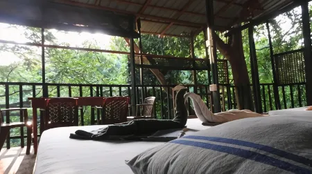 亞拉河邊小屋酒店