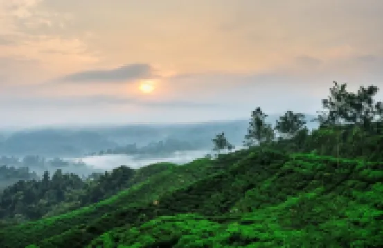 茂物GIO旅館-入住需結婚證明