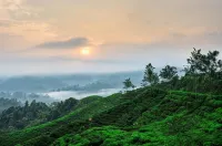 Gio Guesthouse Bogor Hotels in East Bogor