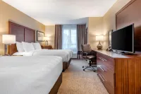 コンフォート イン & スイート