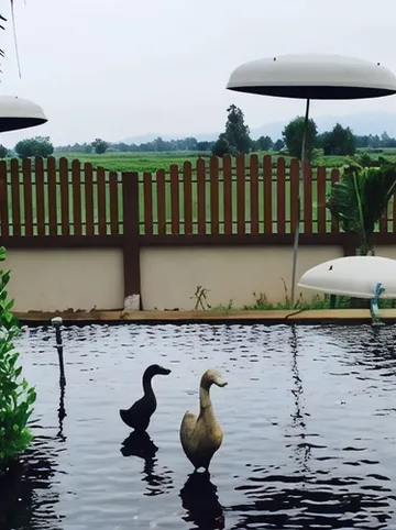 รูปภาพของบ้านชมภูรีสอร์ท