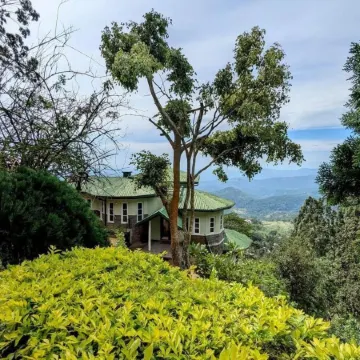 Blackwood Hotel and view bungalow