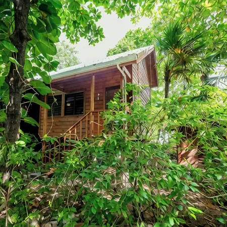 Cocolobo Resort
