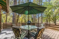 Family & Dog friendly Fenced 5Acr: Pool Table, Playground, Firepit, BBQ, Starlnk
