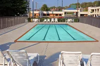 Best Western Thunderbird Motel - piscina