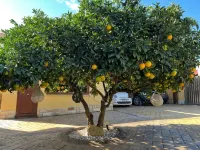 B&B Templi e Arte