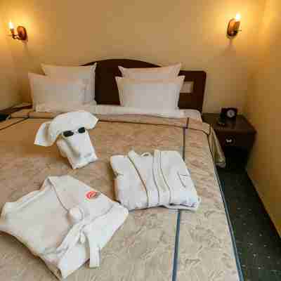 Solov'Inaya Roscha Hotel Rooms