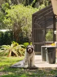 Dreamy Studio in The Heart of Horse Country - Apartments