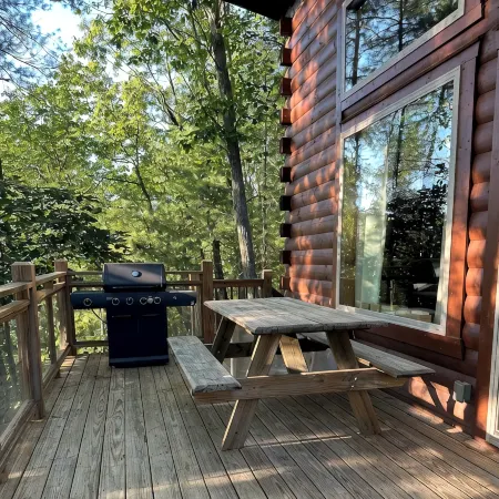 Firefly 3BR/3BA cabin with amazing views!