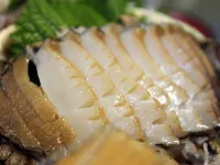 An Inn with Abalone and Japanese Spiny Lobster - Tamaya - 3-Star