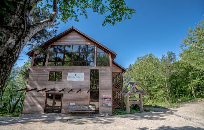 Green Wood Mini-Hotel