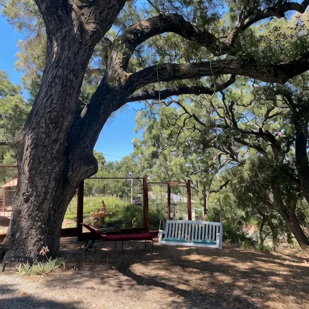 Colony Haven in the Oaks