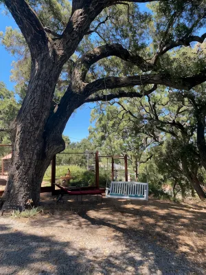 Colony Haven in the Oaks