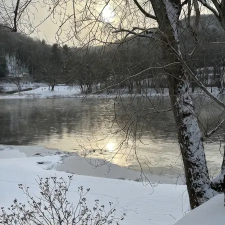 Allegheny River House