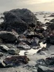 Steps to the ocean!! - 3-Star