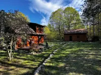 Cozy Harbor Springs cabin meticulously maintained on 4 acres. - Feriehus