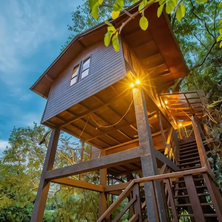 Sigiriya King's Resort