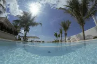 Dolphin Beach Resort - Dolphins, Kitesurfing & Wildlife - Beach