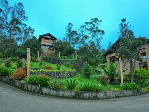 Tea Terrain Resorts & Spa