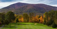 Rosie's Retreat: Cozy 3 BR, 3 Bath Condo in Wintergreen Resort, 1 mile to slopes