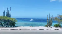 Bella Horizonte - Beachfront 6