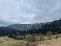 Appartement - Au Cœur du Lac Blanc
