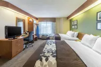 Sleep Inn & Suites Bay View Acme - Traverse City - parking