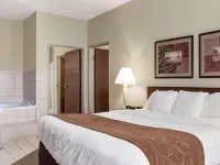 Comfort Inn Bismarck Hotels in Bismarck